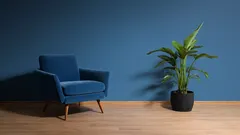 インテリアに取り入れたい定番の7色。家を瞬時にエレガントに見せる